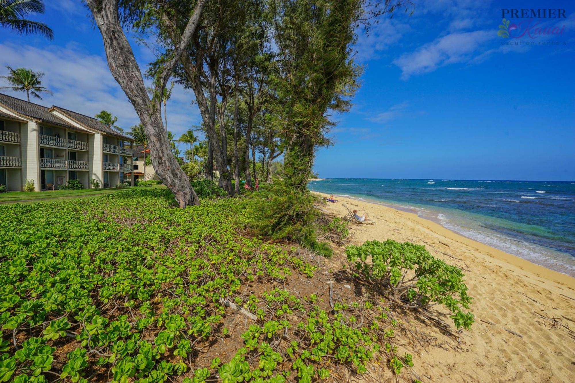 Seaview At The Islander On The Beach Oceanview Studio 201 คาปา ภายนอก รูปภาพ
